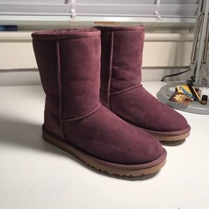 Plum UGGS